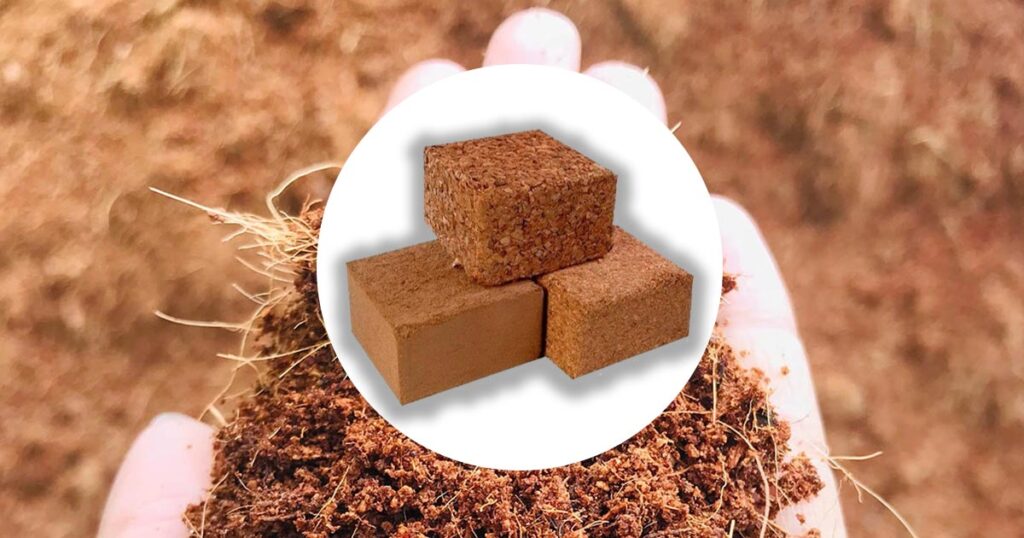 cocolabs coir bricks