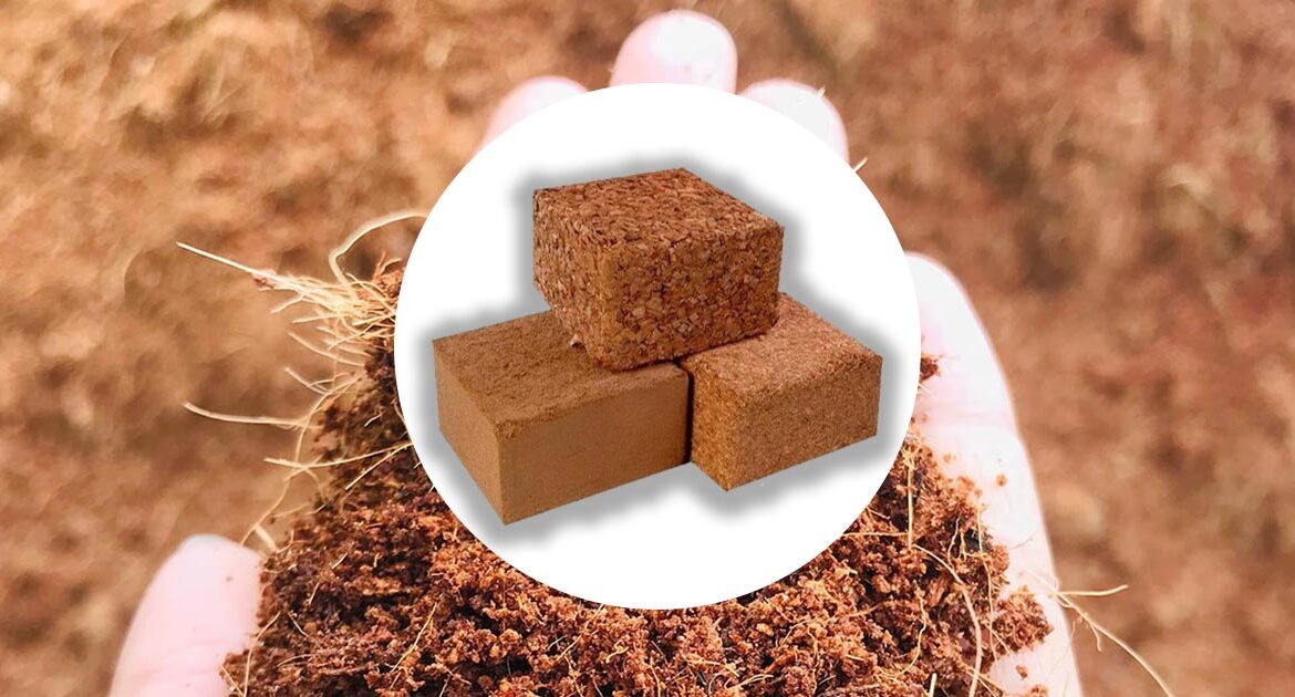 cocolabs coir bricks