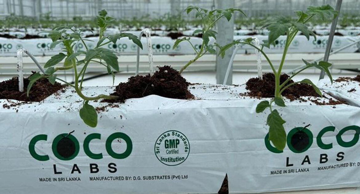 coco labs grow bags