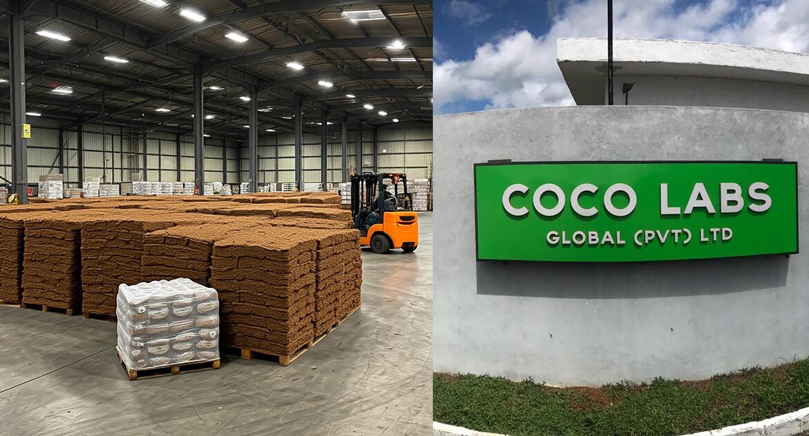 coco peat manufacture