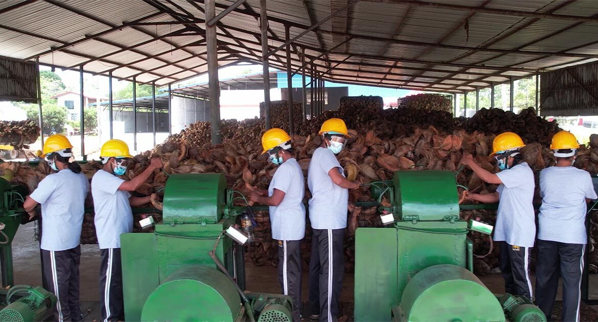 cocopeat-manufacturing