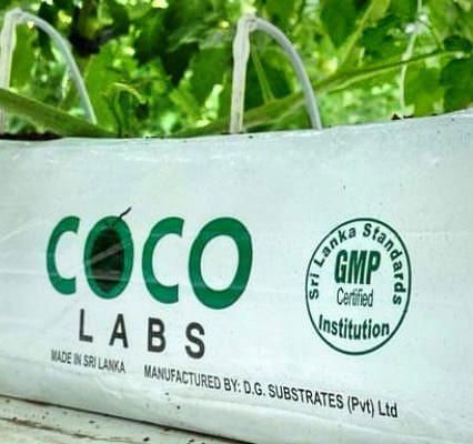 coco labs grow bag