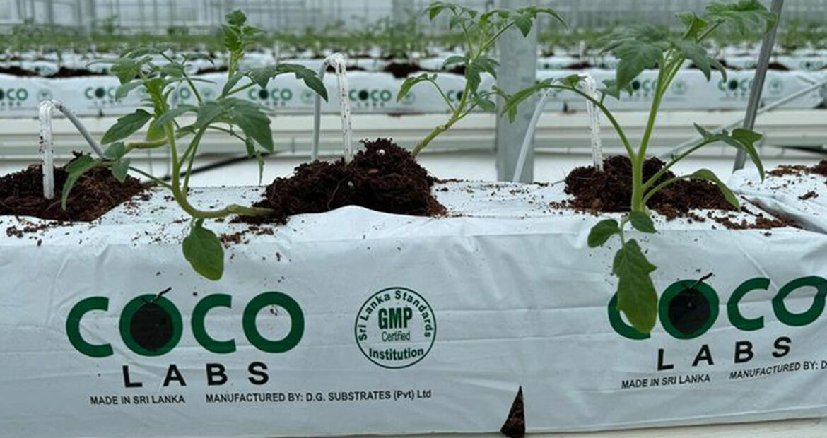 coco labs grow bags