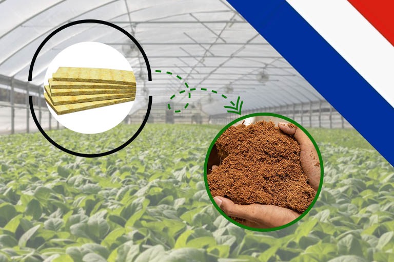 coco coir growing media