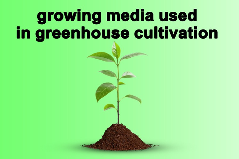 Growing Media Used in Greenhouse Cultivation
