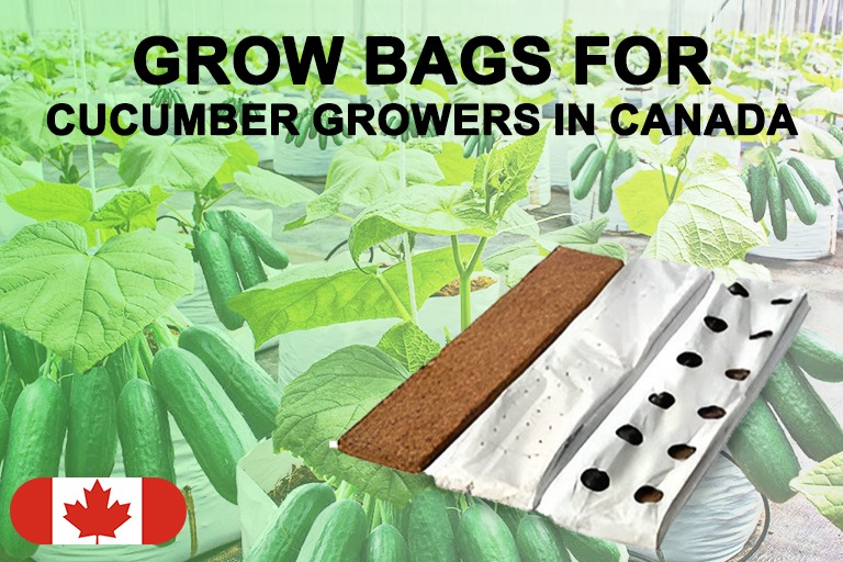grow bags in Canada