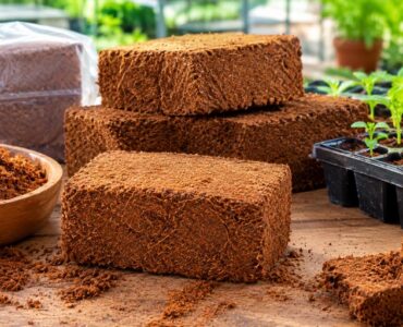 Coco-Coir-Starter-Blocks